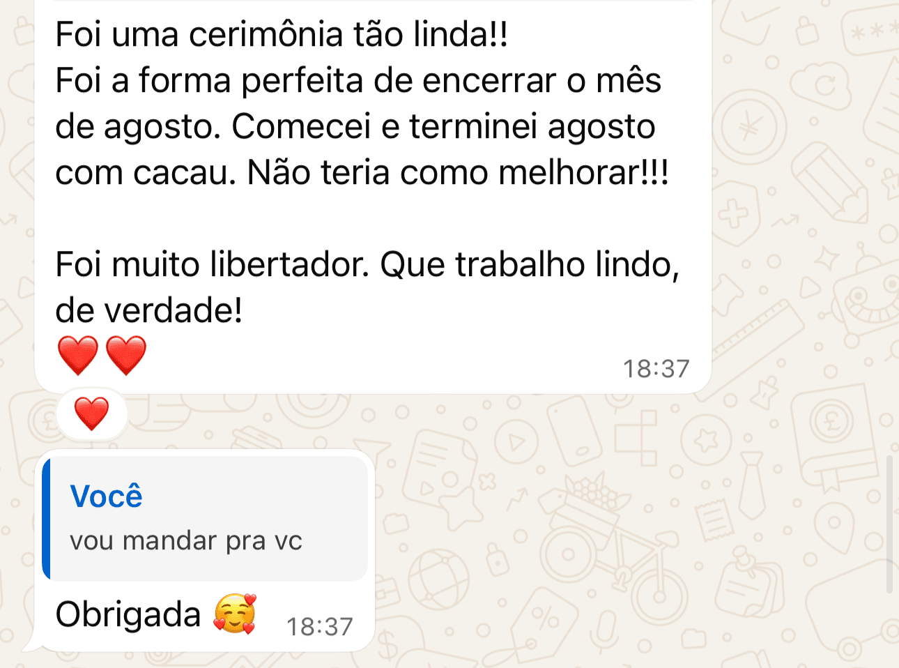 Print de mensagem sobre uma cerimonia vivida com Camila Santana Terapias
