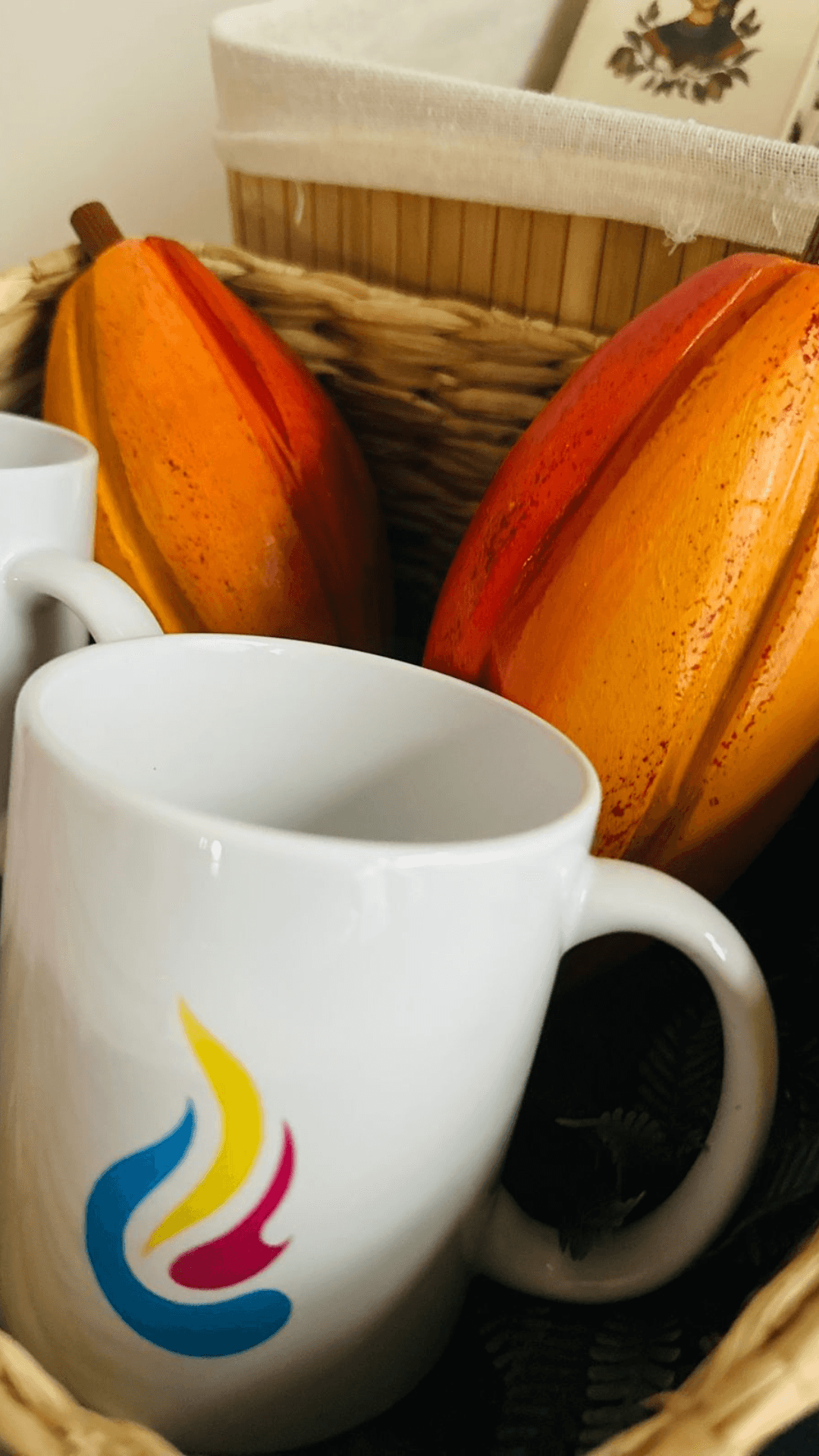 Frutos de cacau e xícaras preparados para um momento ritualístico